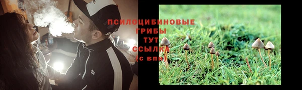 jwh Сосновка