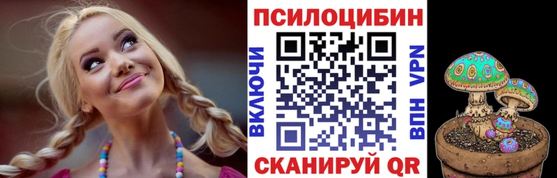 площадка какой сайт сколько стоит Курильск Галлюциногенные грибы Cubensis