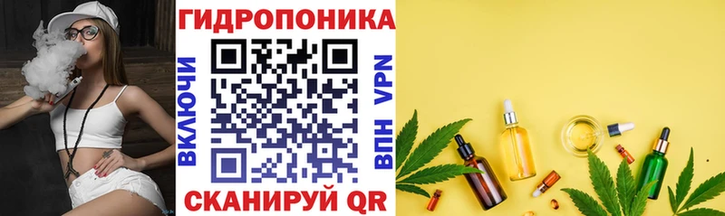 купить наркотики сайты  Курильск  Канабис THC 21% 